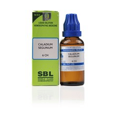 Sbl Caladium Seguinum Dilution 6 Ch Buy Bottle Of 30 Ml Dilution At Best Price In India 1mg