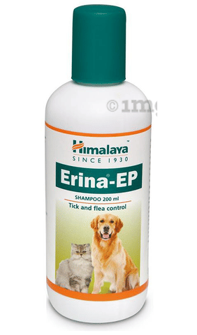 amazonbasics soft dog crate