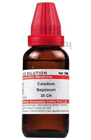 Dr Willmar Schwabe India Caladium Seguinum Dilution 30 Ch Buy Bottle Of 30 Ml Dilution At Best Price In India 1mg