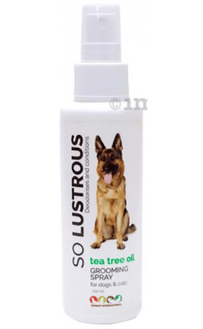 tea tree spray for dogs