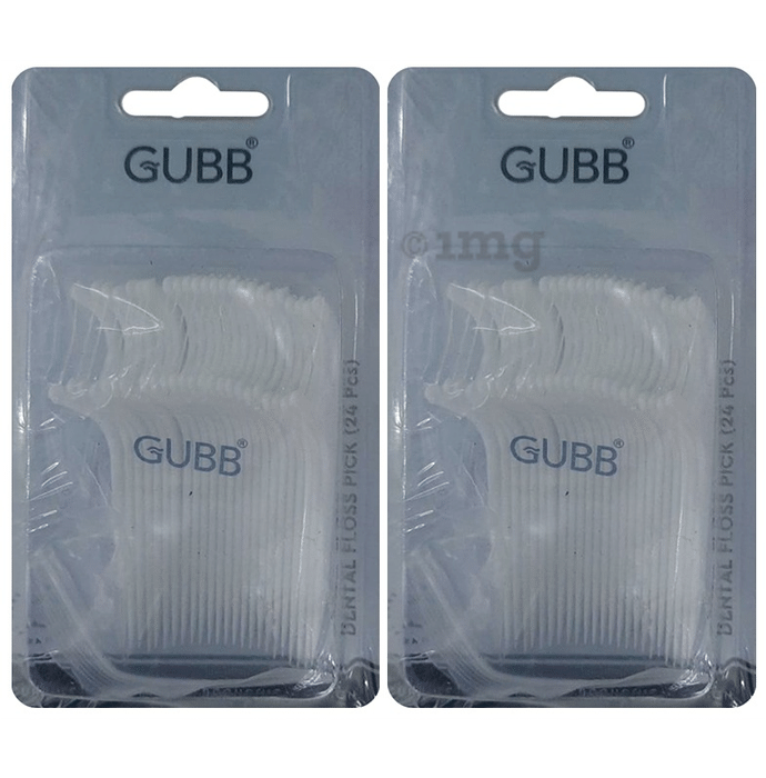 Gubb USA Dental Floss Pick (24 Each)