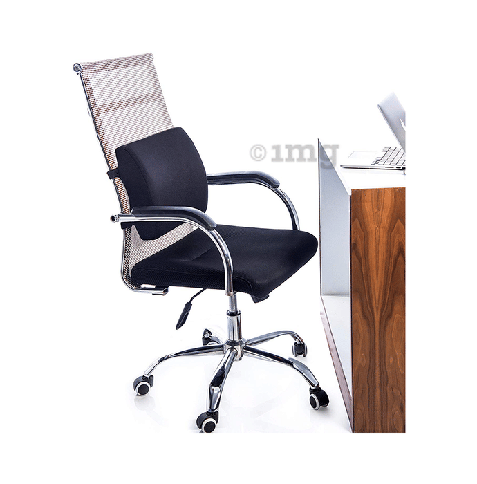 fovera lumbar support