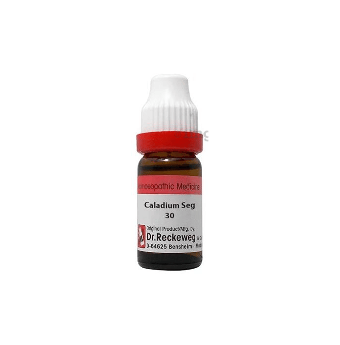 Dr Reckeweg Caladium Seg Dilution 30 Ch Buy Bottle Of 11 Ml Dilution At Best Price In India 1mg