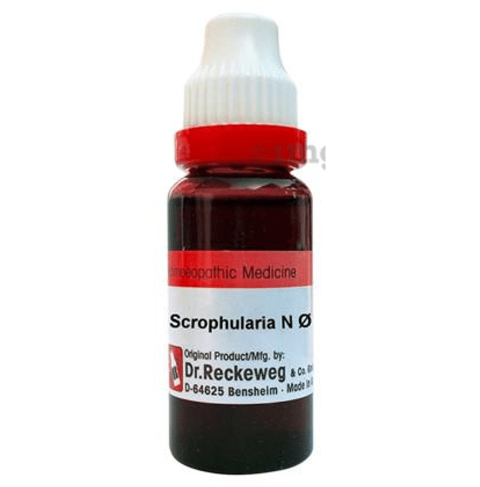 Dr. Reckeweg Scrophularia N Mother Tincture Q
