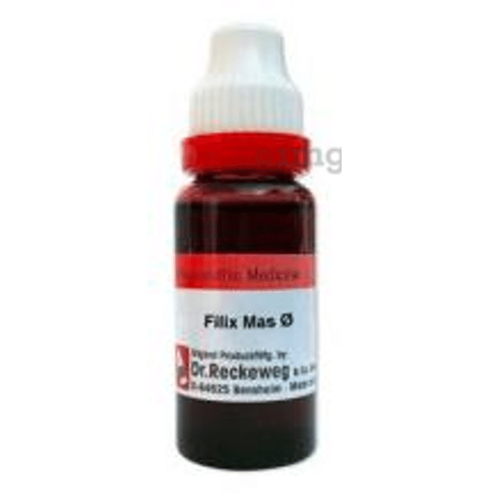 Dr. Reckeweg Filix Mas Mother Tincture Q