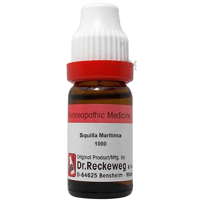 Dr. Reckeweg Squilla Maritima Dilution 1000 CH
