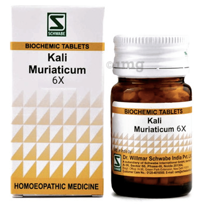 Dr Willmar Schwabe India Kali Muriaticum Biochemic Tablet 6X