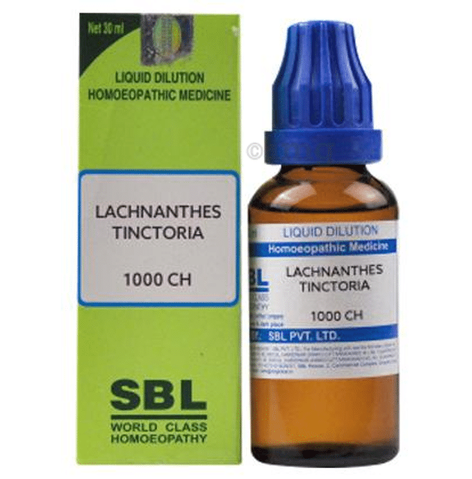 SBL Lachnanthes Tinctoria Dilution 1000 CH