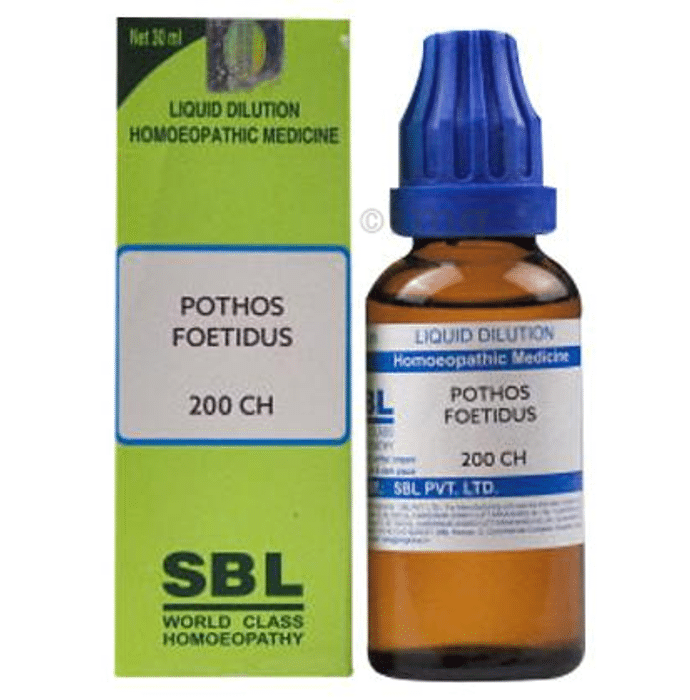 SBL Pothos Foetidus Dilution 200 CH
