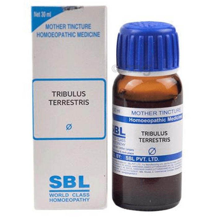 SBL Tribulus Terrestris Mother Tincture Q