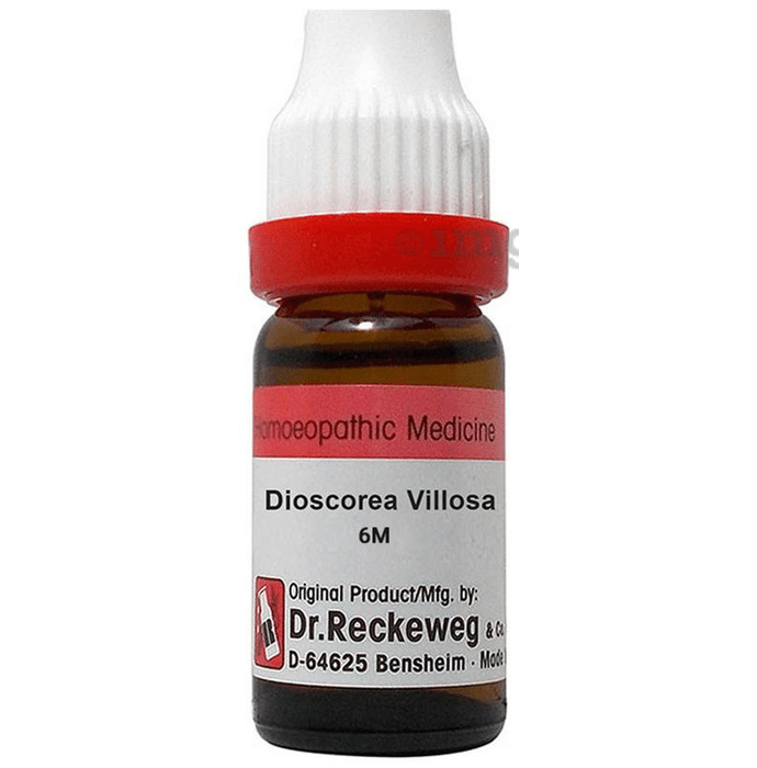 Dr. Reckeweg Gnaphalium Pol Dilution 6 CH