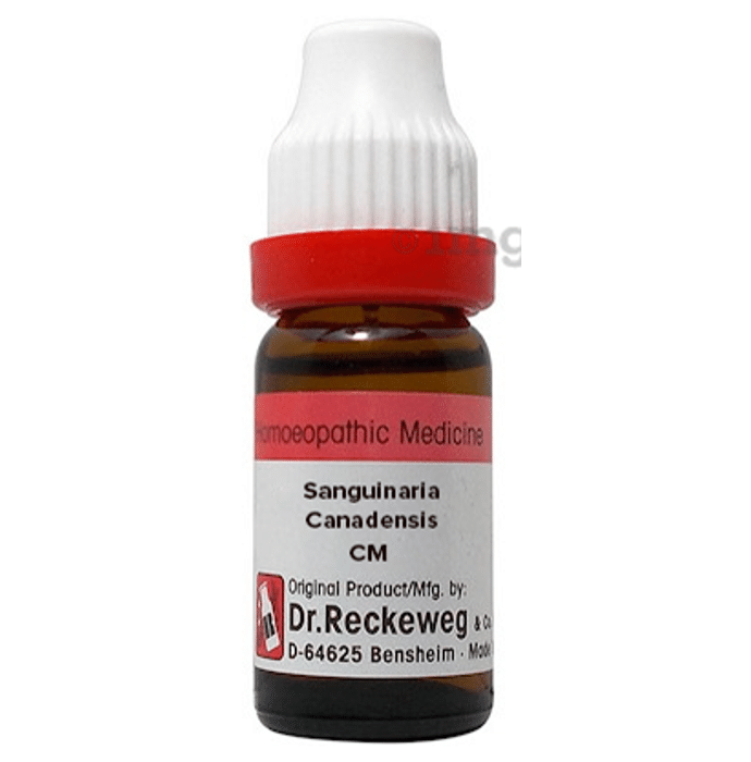 Dr. Reckeweg Sanguinaria Canadensis Dilution CM CH