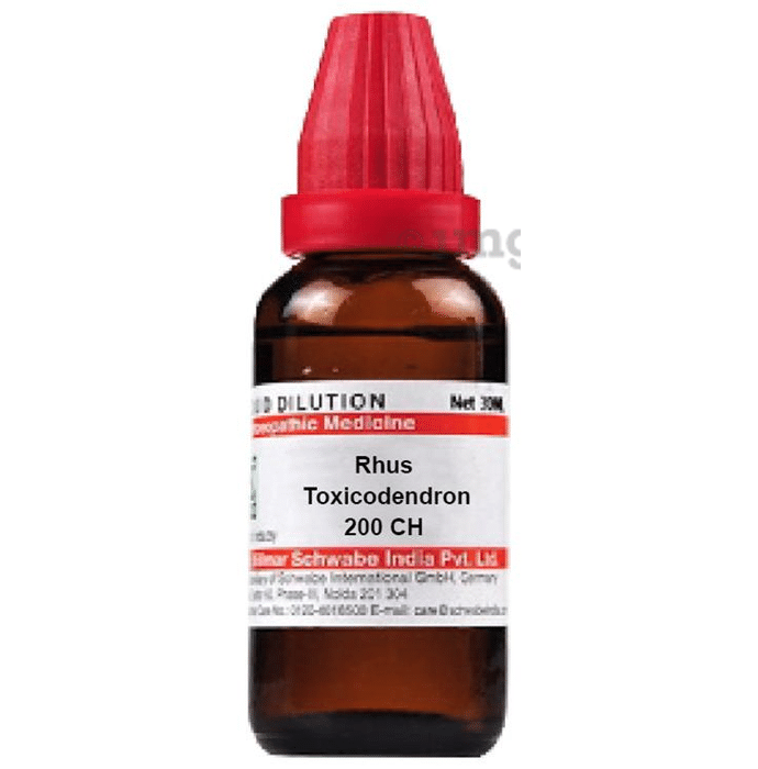 Dr Willmar Schwabe India Rhus Toxicodendron Dilution 200 CH
