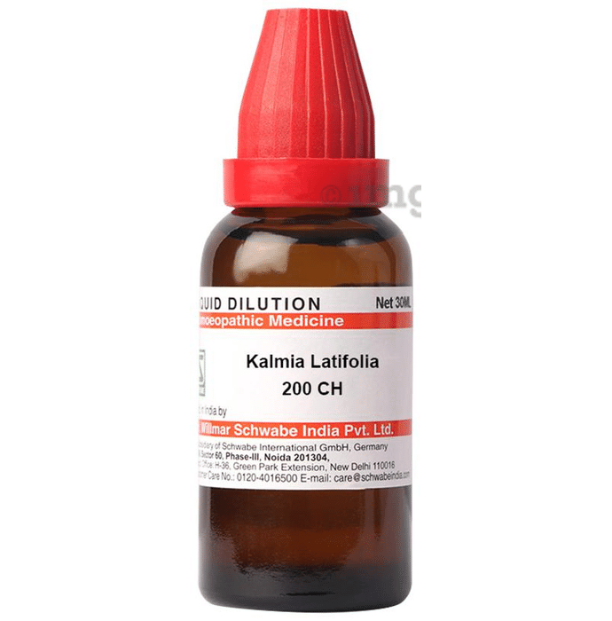 Dr Willmar Schwabe India Kalmia Latifolia Dilution 200 CH