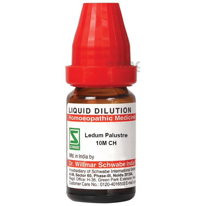 Dr Willmar Schwabe India Ledum Palustre Dilution 10m Ch Buy Bottle Of 10 Ml Dilution At Best Price In India 1mg