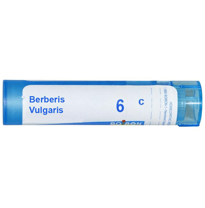 Boiron Berberis Vulgaris Multi Dose Approx 80 Pellets 6 CH