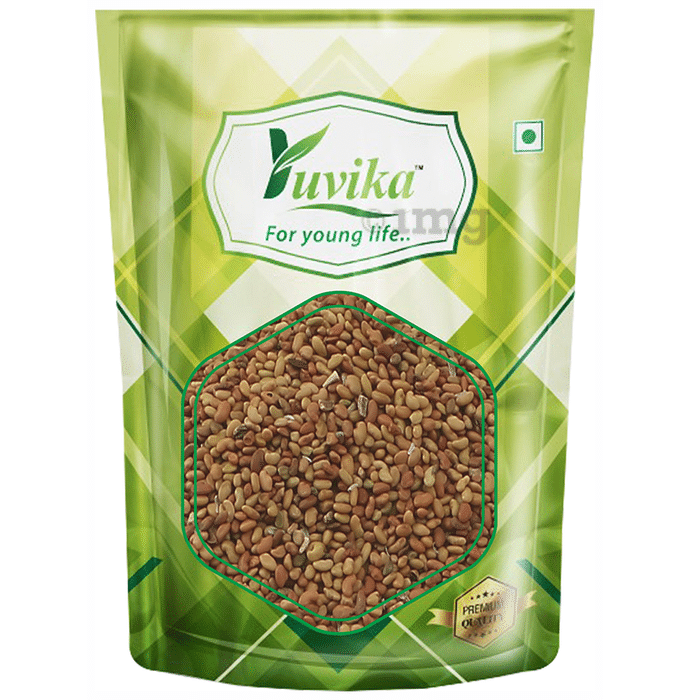 Yuvika Alfalfa Seeds