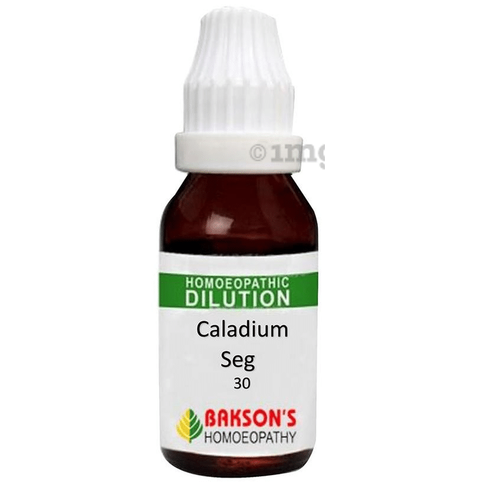 Bakson's Caladium Seg Dilution 30 CH