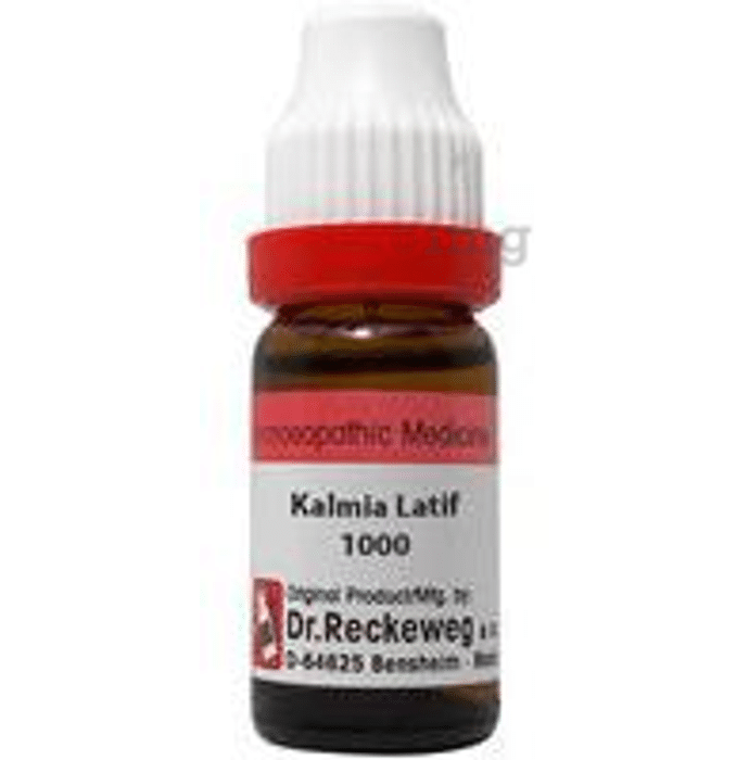 Dr. Reckeweg Kalmia Latif Dilution 1000 CH