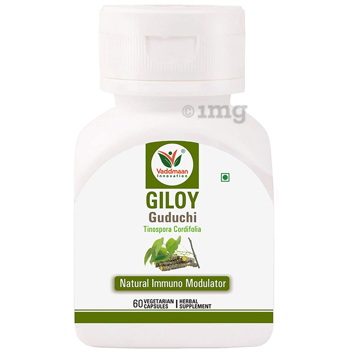 Vaddmaan Giloy Guduchi Vegetarian Capsule