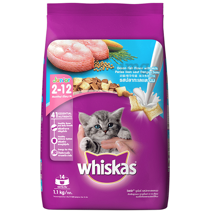 Whiskas Dry Food for Mother & Baby Cat Ocean Fish Flavour Junior 212 months Buy packet of 1.1