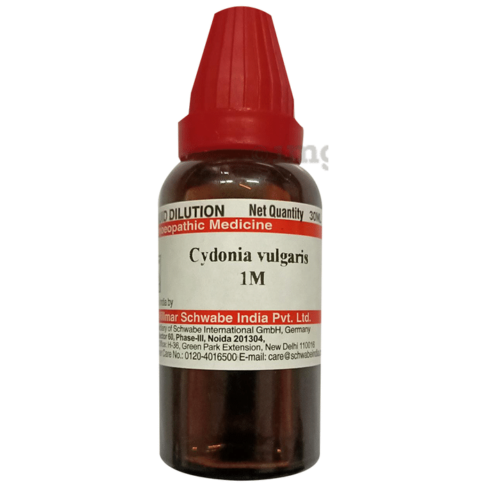 Dr Willmar Schwabe India Cydonia Vulgaris Dilution 1M