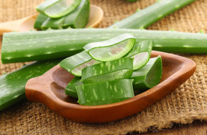 Aloe vera : Benefits, Precautions and Dosage | 1mg