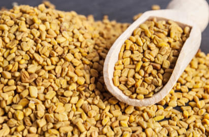 3 Uses of Methi Fenugreek seeds for Hair Fall Growth and Hair Loss