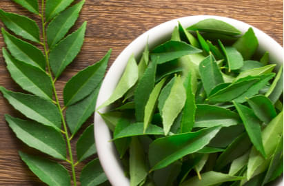 Curry leaves : Benefits, Precautions and Dosage | 1mg