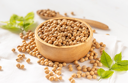 11 Health Benefits of Soybean and Nutrition Value