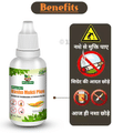 Divya Shri Nasha Mukti Plus Drop Balanced Combination of Natural Herbs (30ml Each) thumbnail
