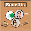 Vedic Ayurveda Combo pack of Mulethi Powder Face Pack & Rose water (60ml) thumbnail