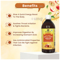 Dr. Patkar's Apple Cider Vinegar Honey with the Mother (500ml Each) thumbnail