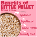 TummyFriendly Foods 2+ Years Little Millet Cereal thumbnail