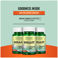 Morpheme Shilajit Capsule thumbnail