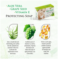 Afxia Franke Aloe Vera Soap (75gm Each) thumbnail