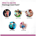 Flamingo HC-1010 Cool Pack Large thumbnail