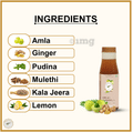 Baidyanath (Jhansi) Amla+Ginger Ready to Drink Juice Buy 1 Get 1 Free thumbnail