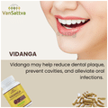 Vansattva Vidanga Capsule thumbnail