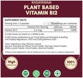 Rasayanam Plant Based Vitamin B12 Capsule thumbnail