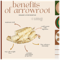 Organic Ayurvedistan Arrow Root Powder thumbnail
