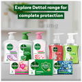 Dettol Antiseptic Disinfectant Liquid thumbnail