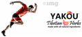 Yakou Tibetian Herbs Pain Relief Transdermal Health Care Patch (2 Each) thumbnail