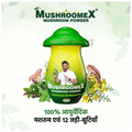 Mushroomex Mushroom Powder (100gm Each) thumbnail