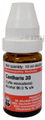 Dr Willmar Schwabe Germany Cantharis Dilution 30 thumbnail