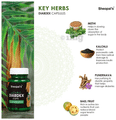 Sheopal's Herbal Diabdex Capsule (30 Each) thumbnail