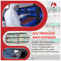 Bjain Staphylococcus Aureus Dilution 12 CH thumbnail