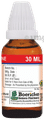 Dr. Majumder Homeo World Grindelia Robusta Mother Tincture (30ml Each) Q thumbnail