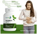 Happy Millions Kalmegh Tablet | Improve Liver Functioning & Purify Blood | Tablet thumbnail