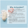 The biohackers Co. Antioxidant Support | NAC, Glycine & Magnesium Capsule thumbnail